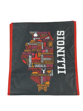 Sac fourre-tout réutilisable Meijer Illinois 13 x 14 po