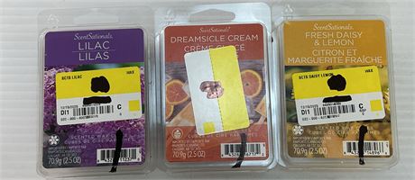 Ens. 3 cubes de cire ScentSationals