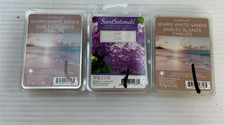 Ens. 3 paquets cubes de cire ScentSationals