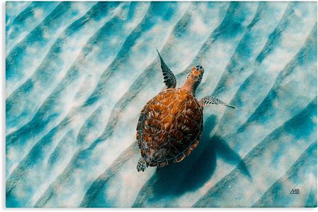 Toile murale tortue mer Stupell