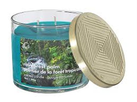 Bougie parfumée forêt tropicale